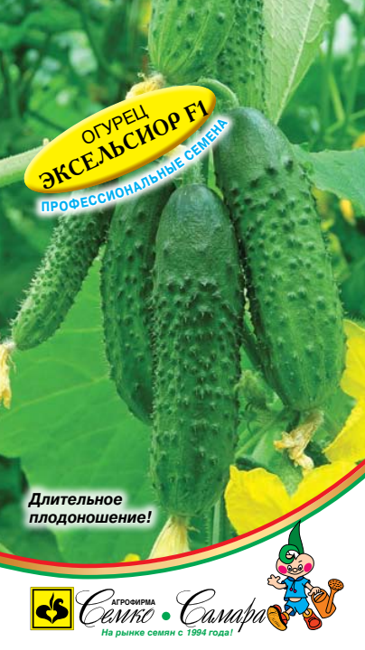 эксельсиор