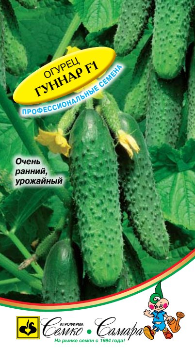 Гуннар
