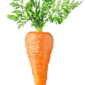 Профессиональные семена моркови