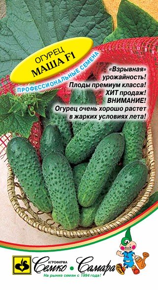 Огурец Маша