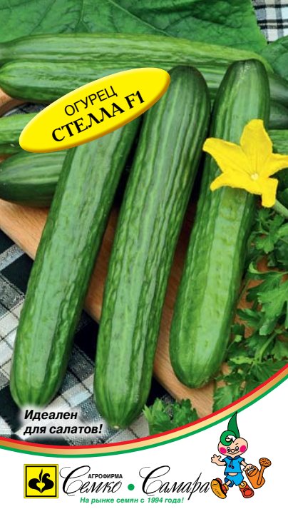 стелла