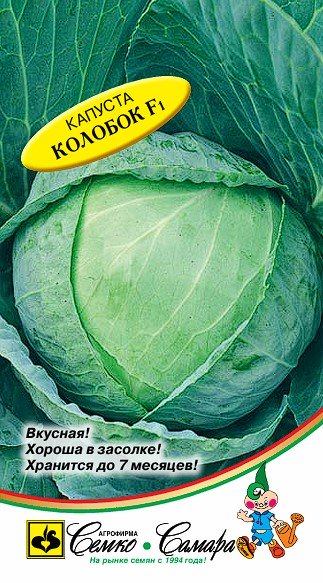 Капуста Колобок