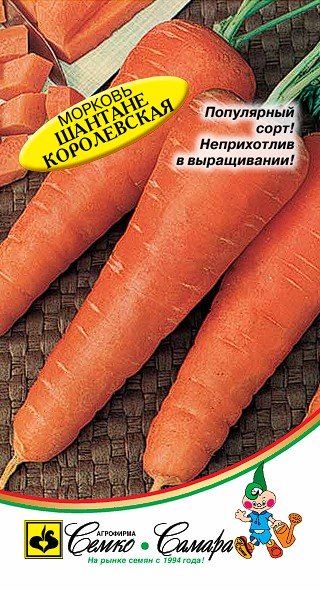Морковь Шантане королевская