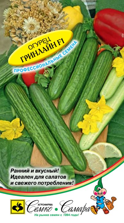 гринлайн