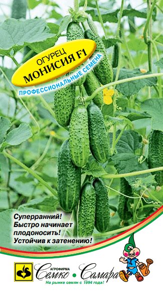 огурец монисия F1
