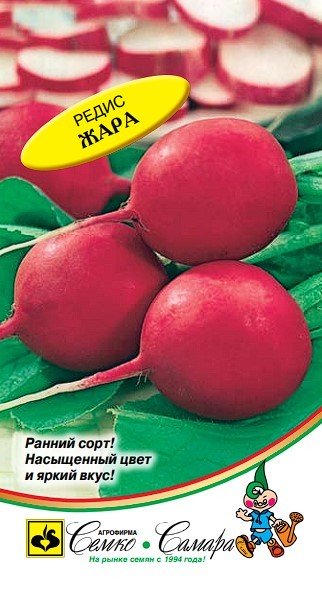 редис Жара