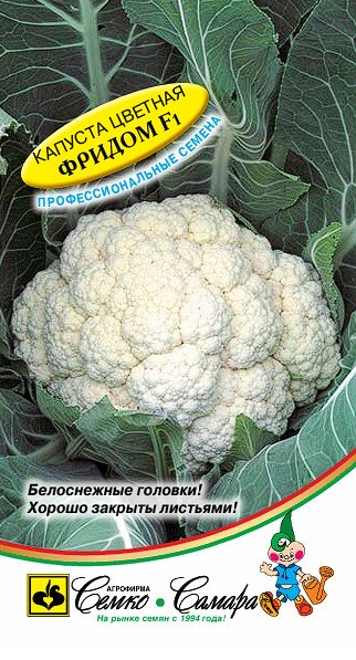 Капуста цветная Фридом