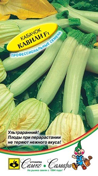 кабачок Кавили