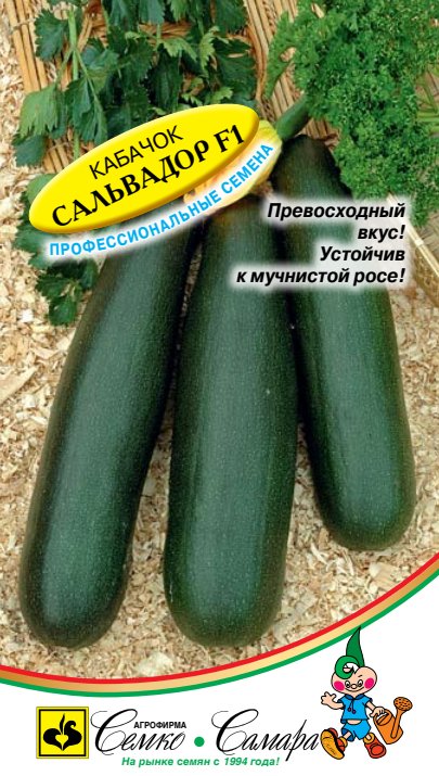 сальвадор