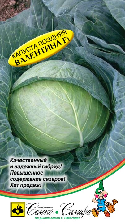 валентина