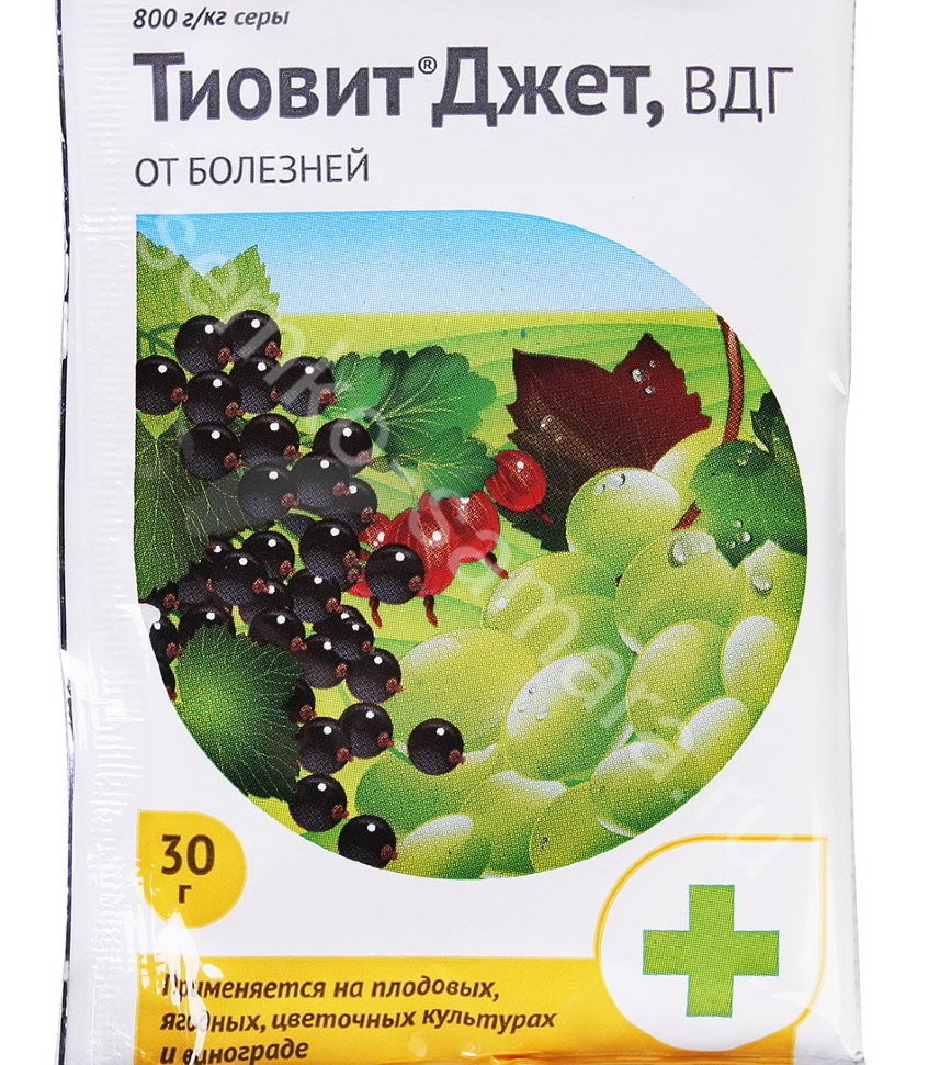 Тиовит для винограда. Тиовит Джет 30 гр.. Тиовит-Джет 30гр август. Тиовит Джет 30г август (от мучнистой росы) х200. Тиовит Джет 30 г август.