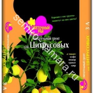 Грунт Цветочный рай для цитрусовых