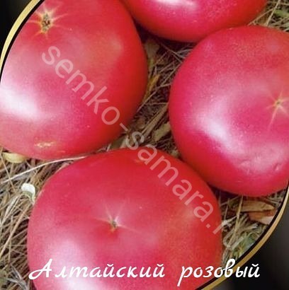 Томат Алтайский розовый - описание, заказать семена по оптовой цене