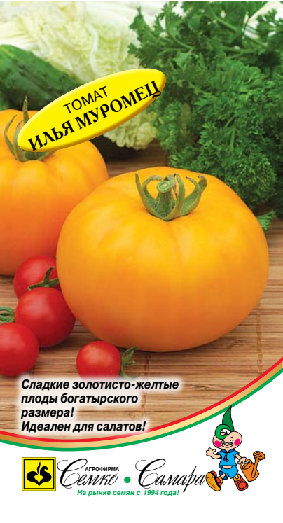 илья муромец