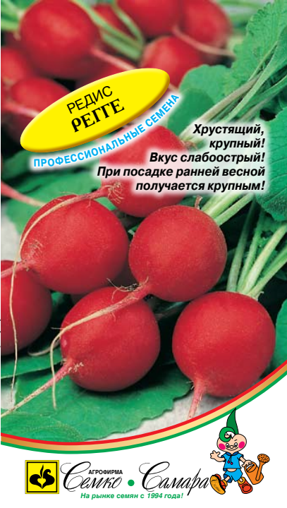 регге
