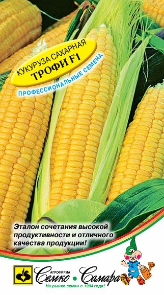 кукуруза трофи