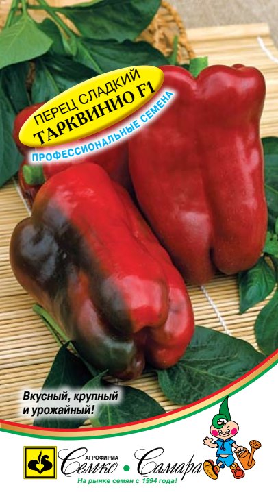 тарквинио