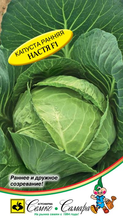 настя