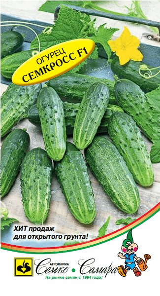 огурец семкросс F1