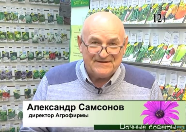 дачные советы 16.01