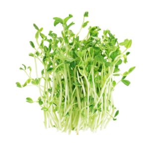 Семена микрозелени