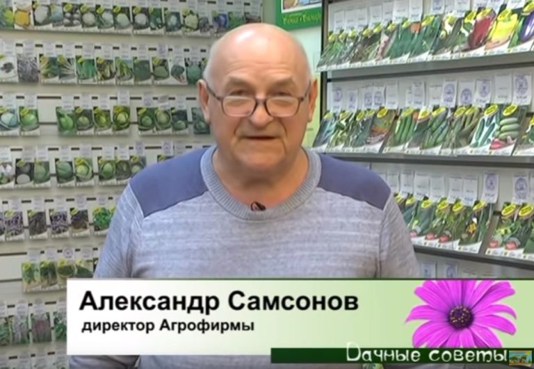 30 января Дачные советы