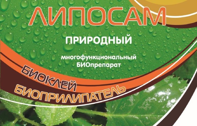 липосам