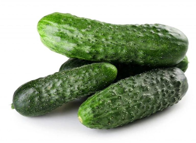 Огурцы VITA GREEN