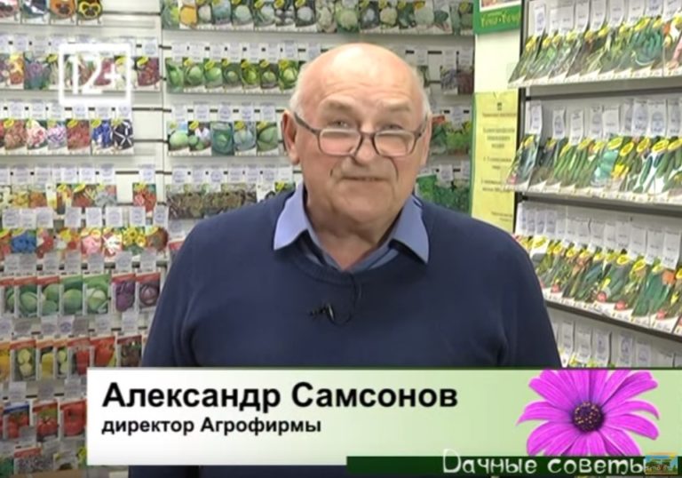 Самсонов А.Л.