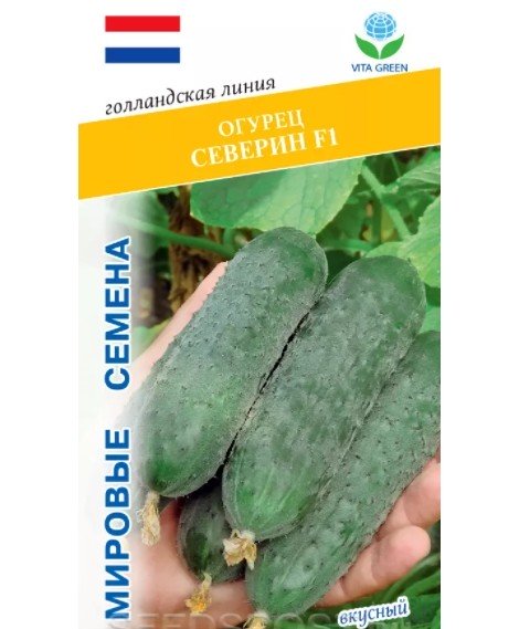 Огурец Северин F1 7 шт