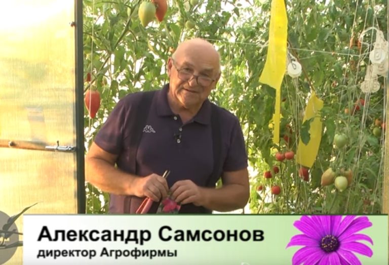 дачные советы 20.09.2021