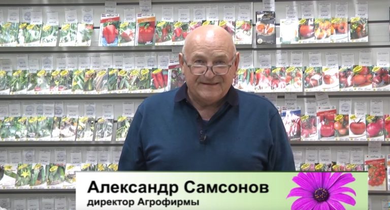 дачные советы от 23.09.2021