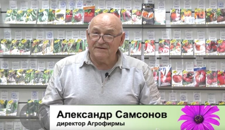 ДАЧНЫЕ СОВЕТЫ ОТ 21.10.2021
