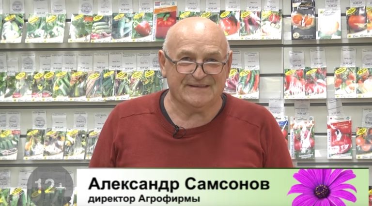 ДАЧНЫЕ СОВЕТЫ ОТ 30.09.2021