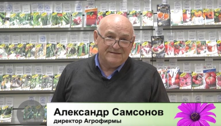 Дачные советы Галины Старосельцевой Октябрь 28-2021
