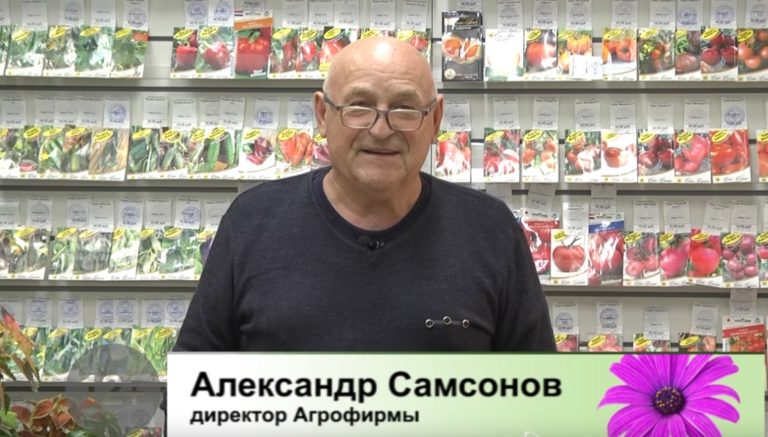 дачные советы 14.10.2021