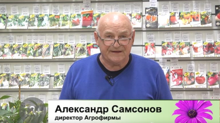 дачные советы от 07.10.2021