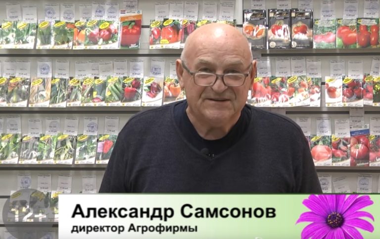 дачные советы от 18.11.2021