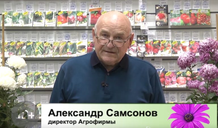 дачные советы от 27.11.2021