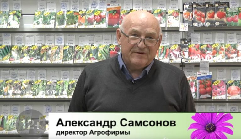 передача Дачные советы 11.11.2021