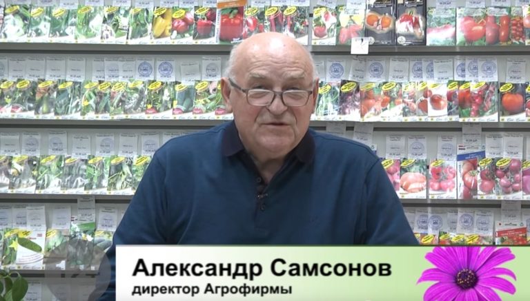 ДАЧНЫЕ СОВЕТЫ ОТ 16.12.2021