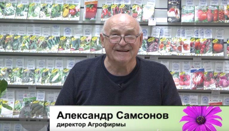 Дачные советы Галины Старосельцевой Декабрь 23-2021