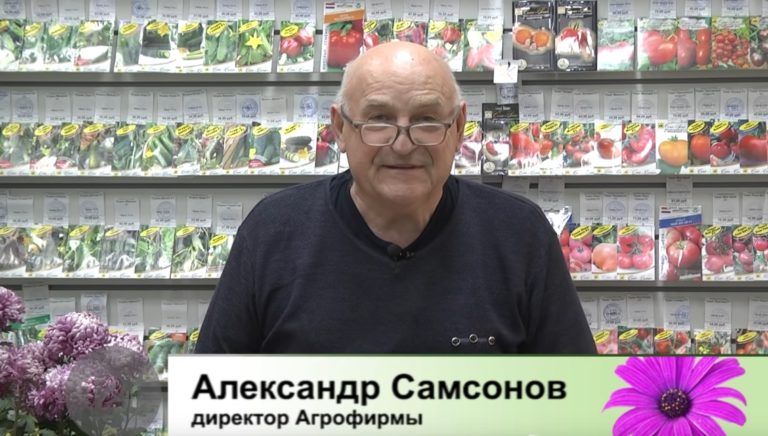 дачные советы от 04.12.2021