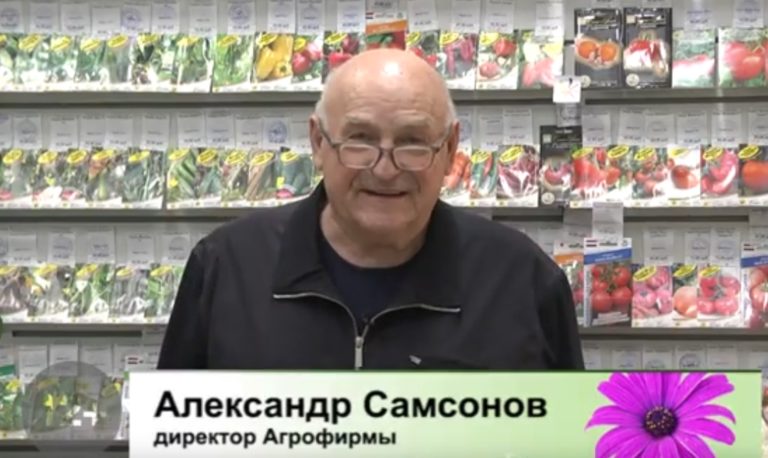 дачные советы от 09.12.2021