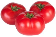 томаты для дачников