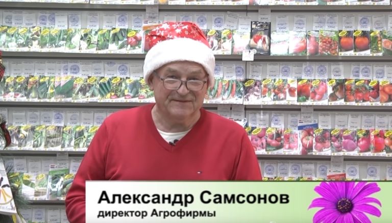Дачные советы Галины Старосельцевой Декабрь 31-2021