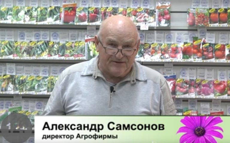 Дачные советы Галины Старосельцевой Январь 13-2022