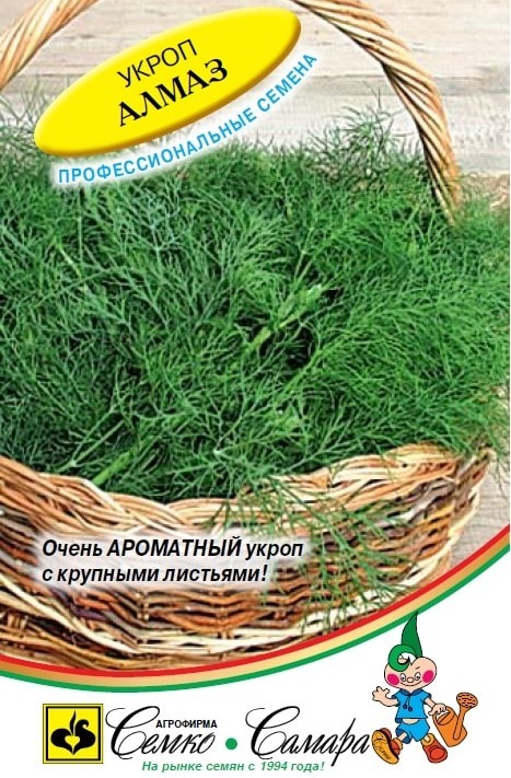 Укроп Алмаз описание сорта, урожайность, фото и отзывы