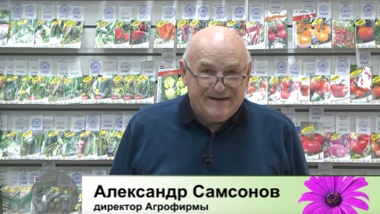 дачные советы 27 января 2022