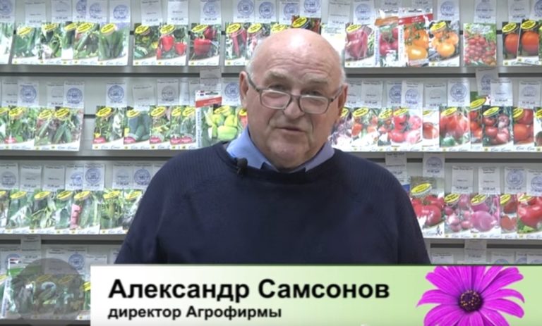 дачные советы от 20 января 2022
